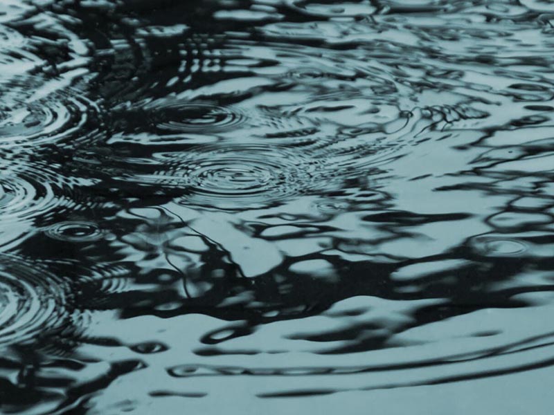 水質(zhì)生物毒性檢測(cè)技術(shù)介紹