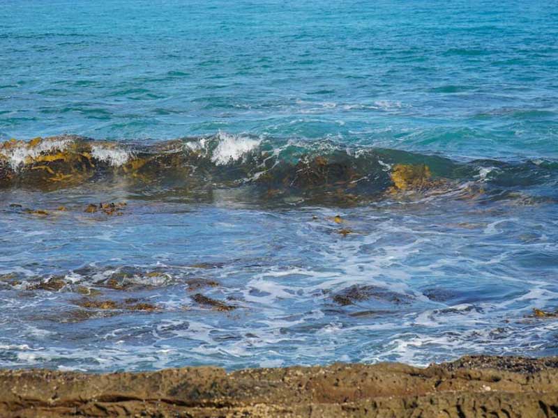 便攜式總磷檢測儀購買時應(yīng)考慮哪些因素