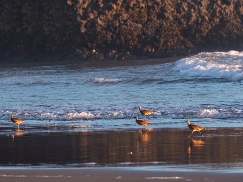 雨天溢流污水濃度高如何應(yīng)對(duì)