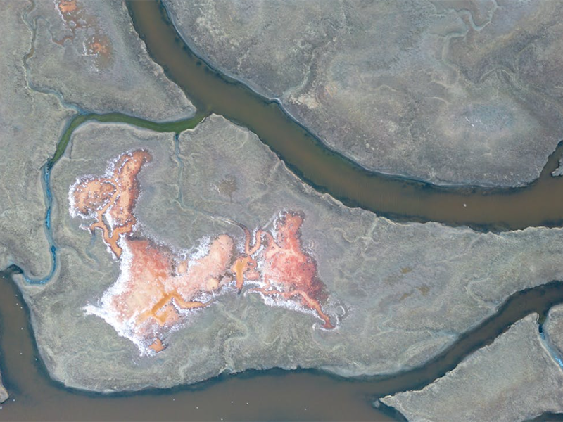 水質(zhì)亞氯酸鹽檢測儀應(yīng)用場景（水質(zhì)亞氯酸鹽檢測儀的作用）