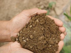 測(cè)試土壤以提高農(nóng)產(chǎn)品產(chǎn)量