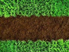 土壤水分測(cè)定儀助力農(nóng)業(yè)發(fā)展